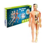 JUEGO DIDACTICO - ENSAMBLA EL CUERPO HUMANO / +6 AÑOS / 685315 - Image 6