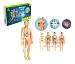 JUEGO DIDACTICO - ENSAMBLA EL CUERPO HUMANO / +6 AÑOS / 685315 - Image 2
