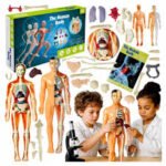 JUEGO DIDACTICO - ENSAMBLA EL CUERPO HUMANO / +6 AÑOS / 685315 - Image 5